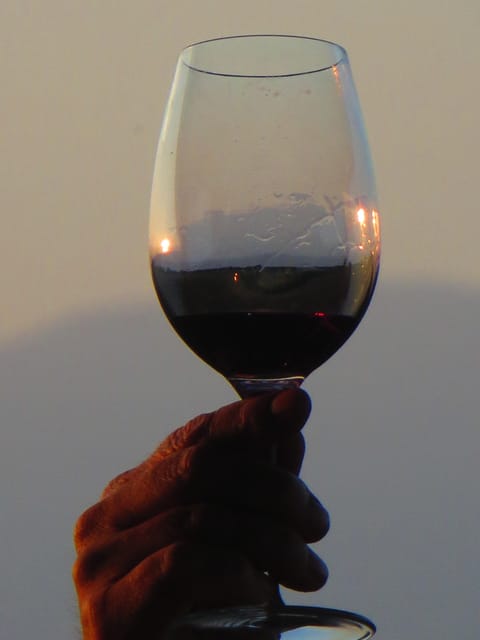 Mallorca: Bodega & Olives Minibustour With Tastings ENGLISH - Booking and Payment Options