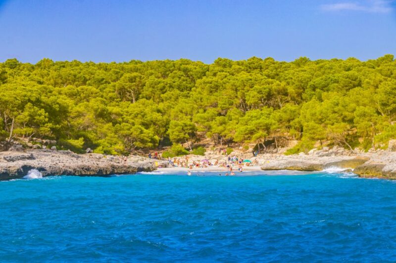 Mallorca: Cala Mondrago Natural Park Jetski Tour - Key Points