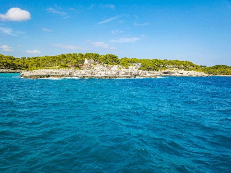 Mallorca: Cala Mondrago Natural Park Jetski Tour - Meeting Point and Directions