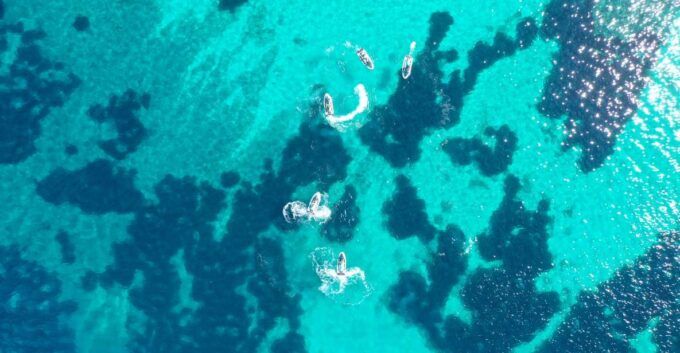 Mallorca: Caló Des Moro Jetski Tour - Important Details to Know