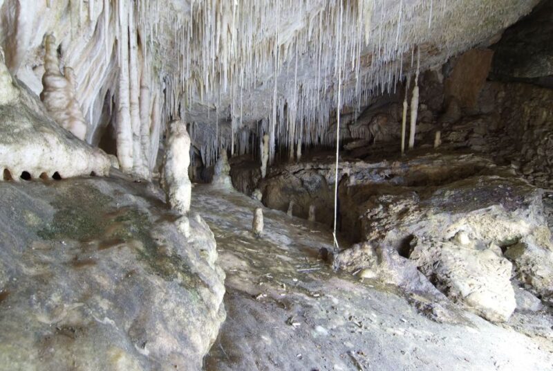 Mallorca: Campanet Caves Entry Ticket - Tour Details