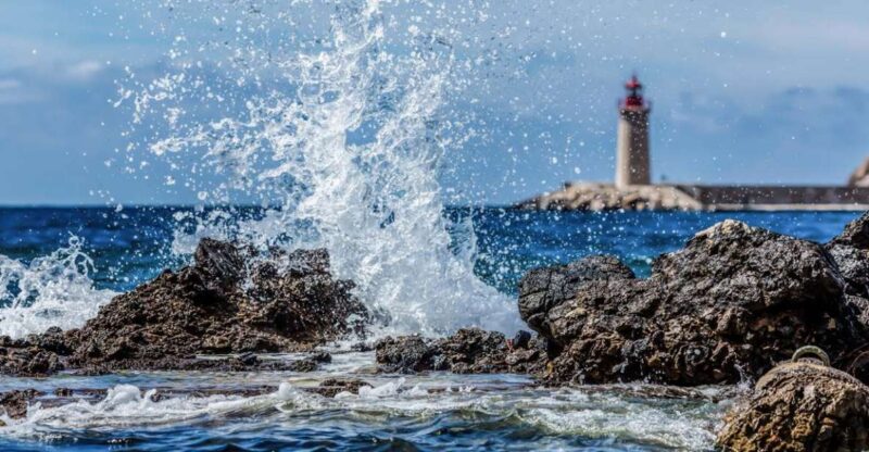 Mallorca: Catamaran Coastal Cruise With Lunch - Key Points