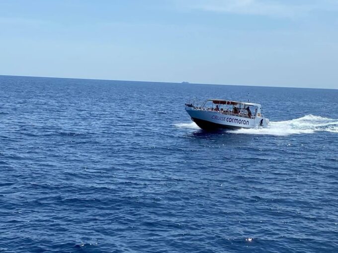 Mallorca: Caves, Cliffs, and Coves Boat Trip - Pricing and Value for Money