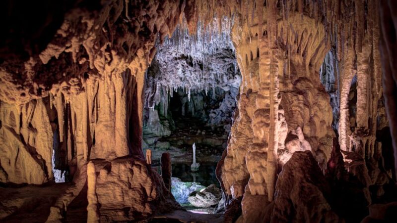 Mallorca: Caves of Hams and Dinosaurland Ticket With Pickup - Key Points