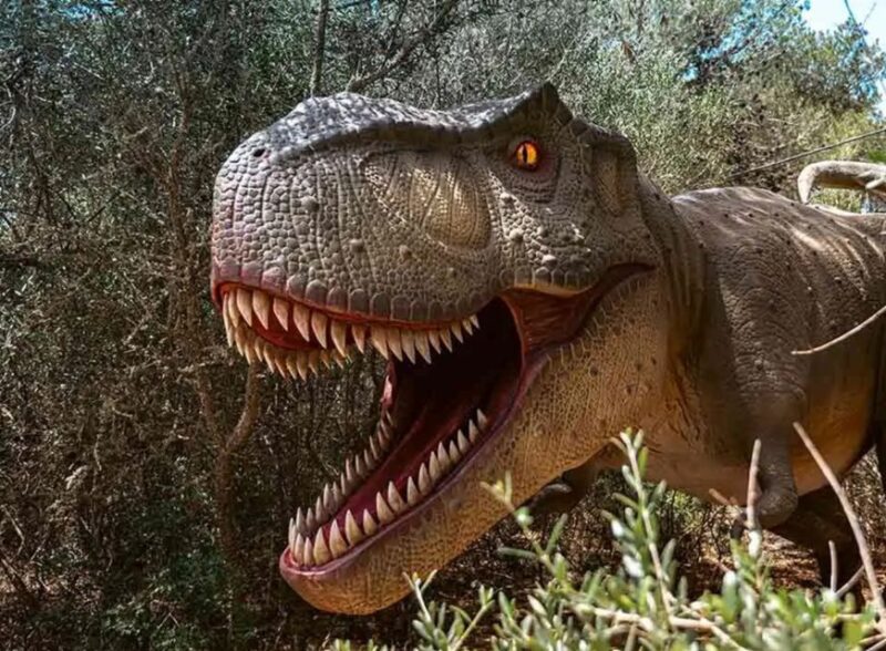 Mallorca: Caves of Hams and Dinosaurland Ticket With Pickup - Tour Highlights