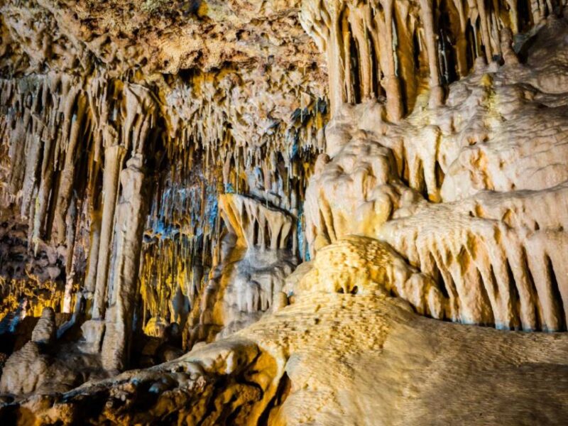 Mallorca: Caves of Hams and Dinosaurland Ticket With Pickup - Language Options