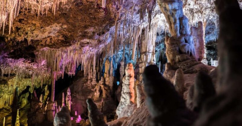 Mallorca: Day Trip to Caves of Hams & Optional Dinosaurland - Exploring the Captivating Chambers