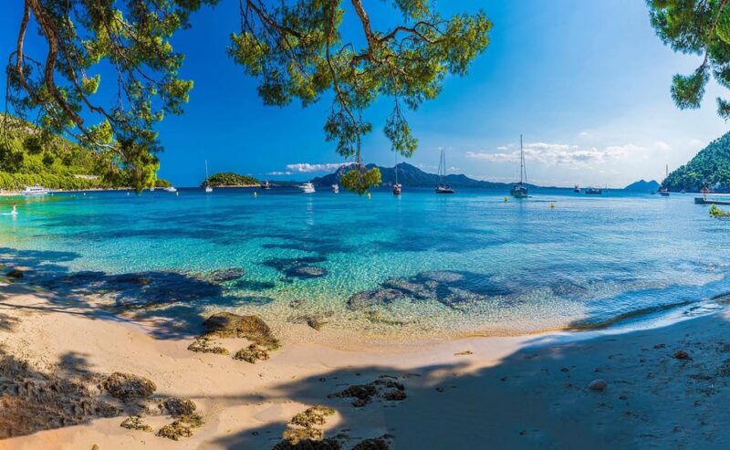Mallorca: Discover Paradise: Formentor and Playa De Muro - Included Services