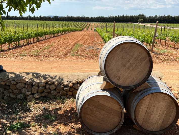 Mallorca: Discover the Secret Treasures of the Local Wine - Winery Visits and Tastings