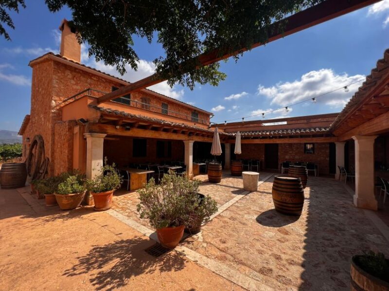 Mallorca: Discover the Secret Treasures of the Local Wine - Itinerary Highlights