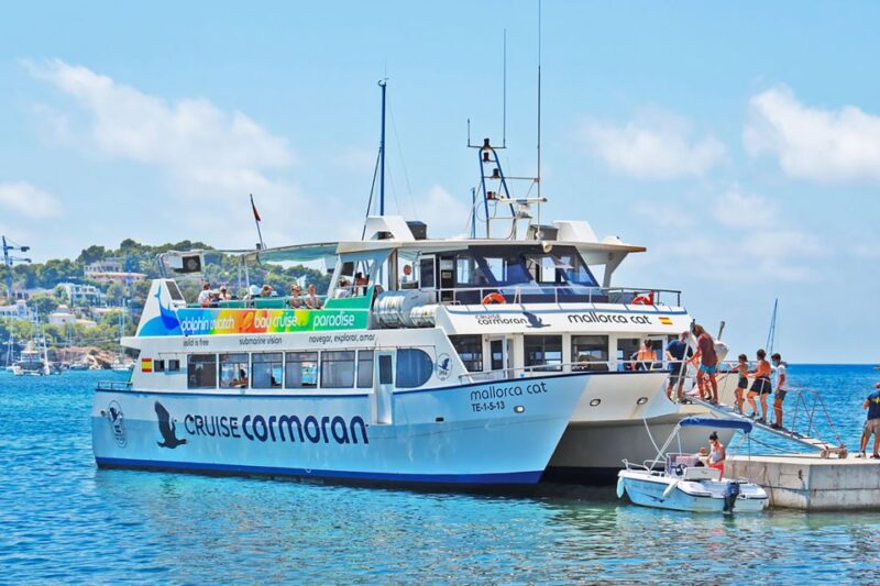 Mallorca: Dolphin Watching Cruise - Experience Highlights