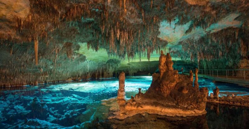 Mallorca: Drach and Hams Caves, and Porto Cristo Day Tour - Key Points