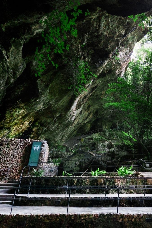 Mallorca: Drach Caves, Lake Martel, & Pearl Factory Day Trip - Key Points