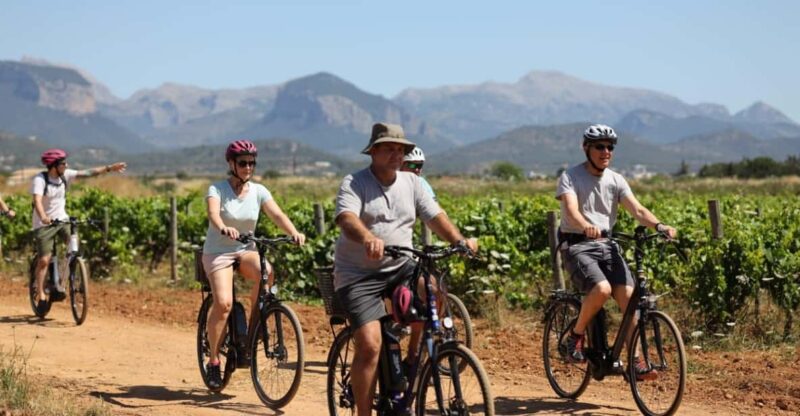 Mallorca: E-Bike Tour With Wine Tasting - GERMAN GUIDE - Tour Pricing