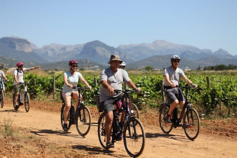 Mallorca: E-Bike Tour With Wine Tasting - GERMAN GUIDE - Highlights and Experiences