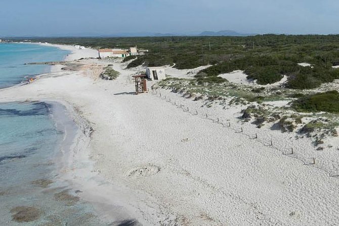 Mallorca Es Trenc Beach Day Tour With Hotel Pick up - Tour Logistics