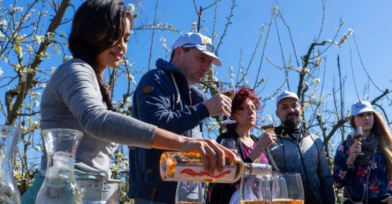 Mallorca: Full-Day Winery Small Group Tour - Key Points