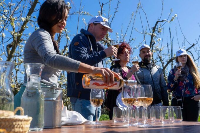 Mallorca: Full-Day Winery Small Group Tour - Cancellation Policy