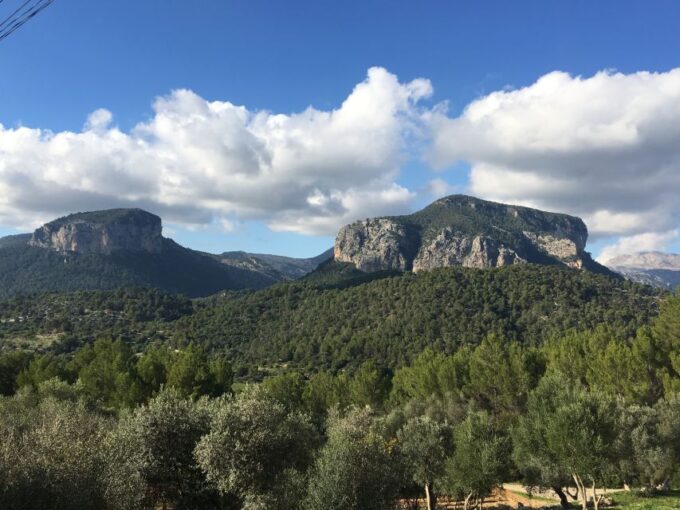Mallorca: Full-Day Winery Small Group Tour - Frequently Asked Questions