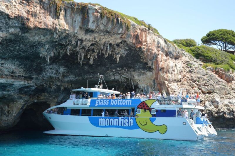 Mallorca: Glass-Bottom Catamaran Along the East Coast - Key Points
