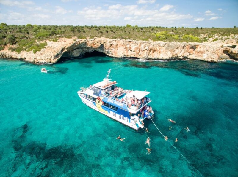 Mallorca: Glass-Bottom Catamaran Along the East Coast - Highlights and Experience