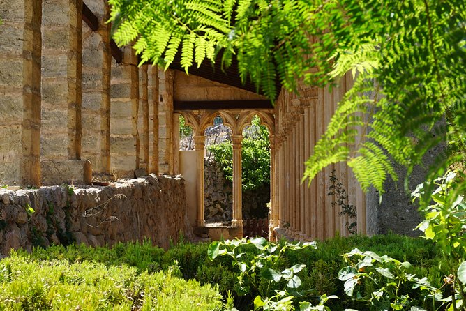 Mallorca Hidden Marvels: Guided Routes for Small Groups - Scenic Routes