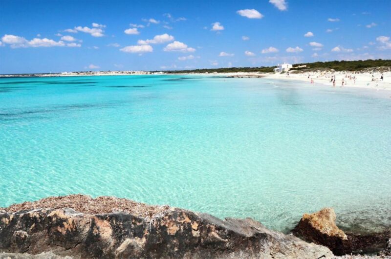 MALLORCA Highlights: Palma, Valdemosa, Archeology & Beach - Discovering Valdemossas Enchantment