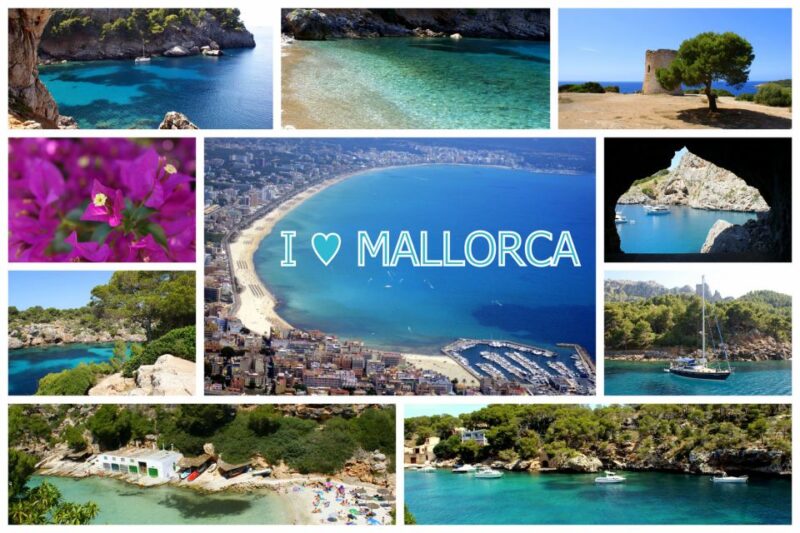 Mallorca Highlights Tour: Palma City, Tapas, Bazaar, Beach - Meeting Point