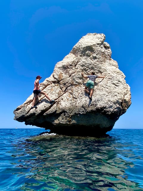 Mallorca: Highlights Wild Coast Tour - Key Points