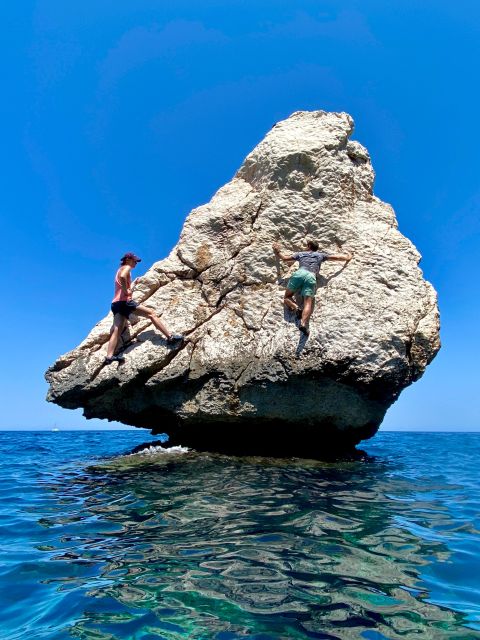 Mallorca: Highlights Wild Coast Tour - Company Expertise and Specialization