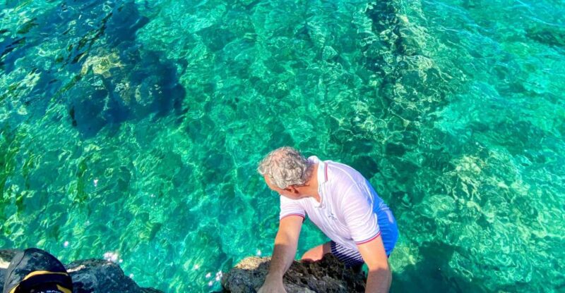 Mallorca: Highlights Wild Coast Tour - Tour Inclusions and Highlights
