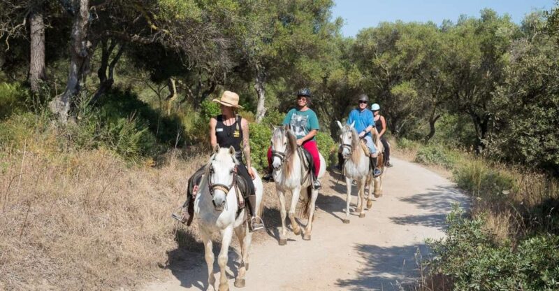 Mallorca: Horseback Riding Excursion and Wine Tasting - Discover Mallorca From Horseback