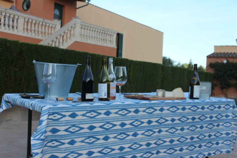 Mallorca: Horseback Riding Excursion and Wine Tasting - Riding Tour for All Levels
