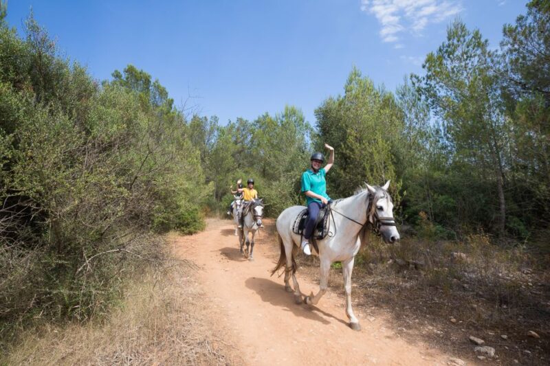 Mallorca: Horseback Riding Excursion and Wine Tasting - Qualified Guides Lead the Way