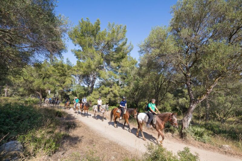 Mallorca: Horseback Riding Excursion and Wine Tasting - Necessary Equipment and Safety Gear