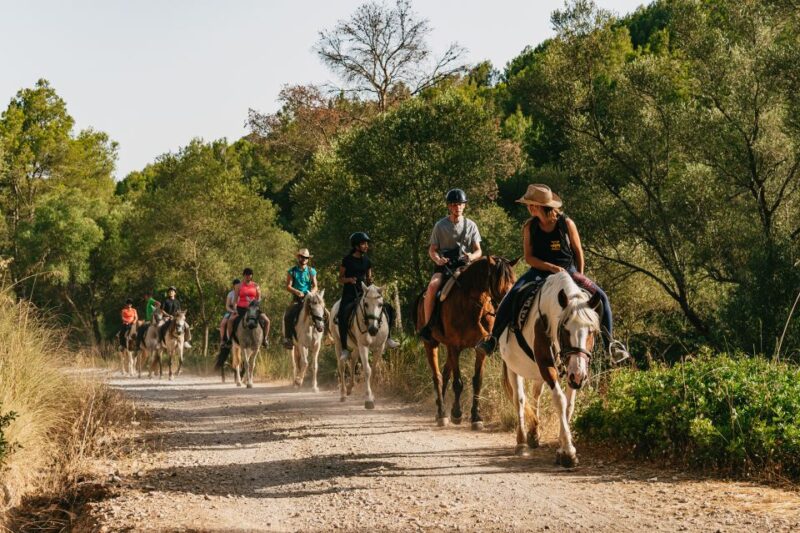 Mallorca: Horseback Riding Experience With Food Options - Meeting Point