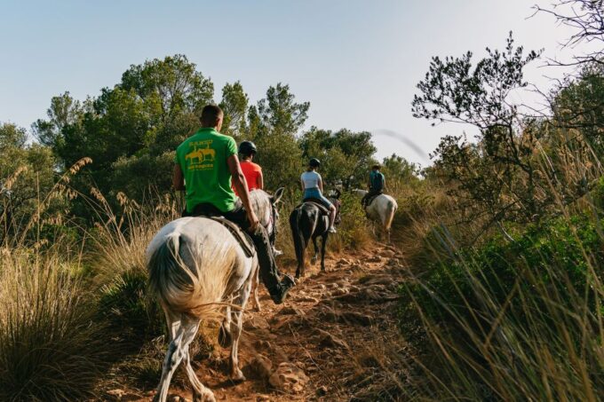 Mallorca: Horseback Riding Experience With Food Options - Frequently Asked Questions