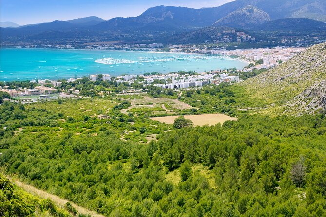 Mallorca Instafamous NORTH: Formentor, Wine Experience and Palma - Winery Experience