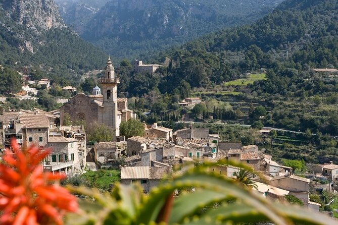 Mallorca Instafamous WEST: Valldemossa, Wine Experience and Palma - Transportation and Accessibility