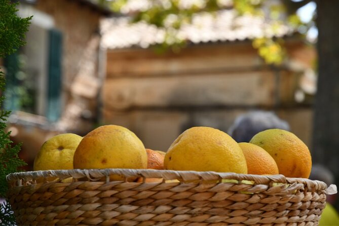 Mallorca Instafamous WEST: Valldemossa, Wine Experience and Palma - Tour Duration and Size