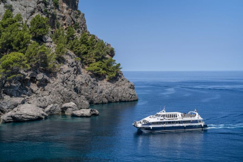 Mallorca: Island Tour With Boat, Tram & Train From the South - Port of Soller Boat Trip
