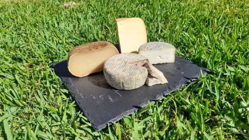 Mallorca: Local Wines & Foods Tasting - Local Wines
