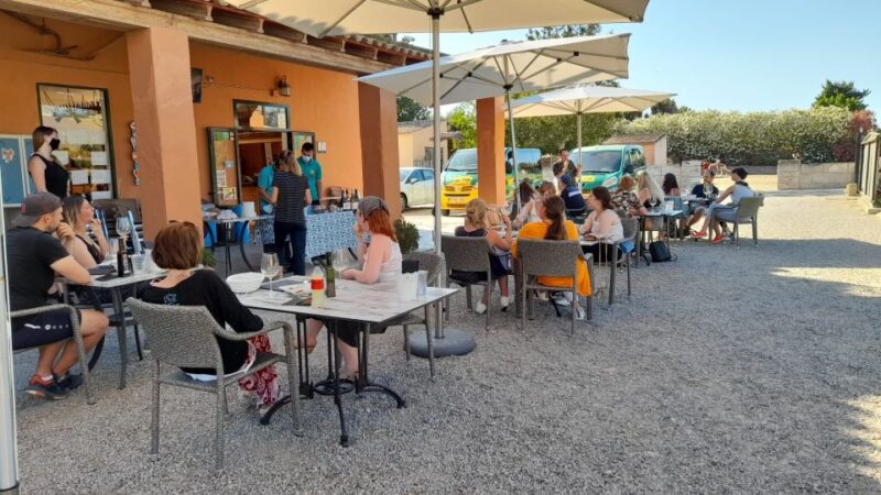 Mallorca: Local Wines & Foods Tasting - Customer Reviews
