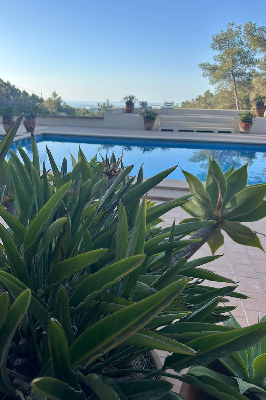 Mallorca: Magical Yoga Day Retreat - Booking Information
