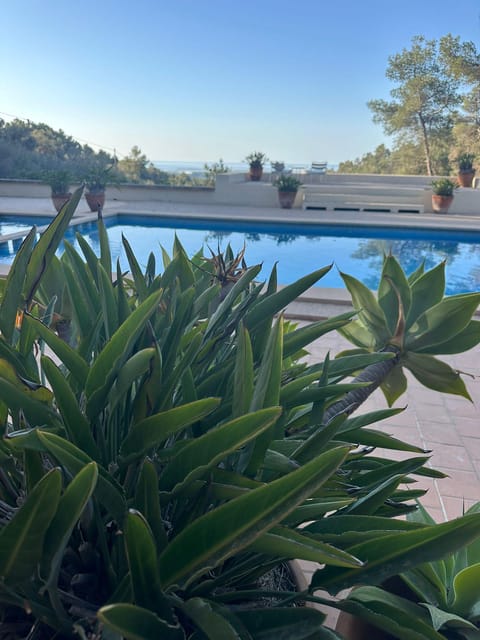 Mallorca: Magical Yoga Day Retreat - Participant Restrictions