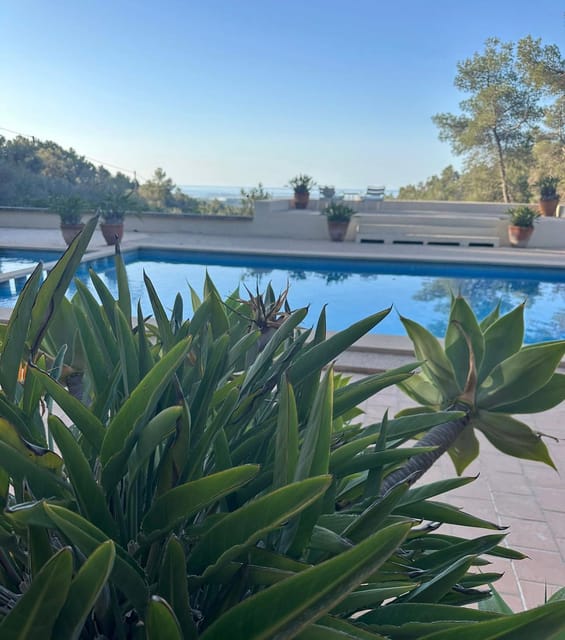 Mallorca: Magical Yoga Retreat 3 Days - Relaxation at the Pool