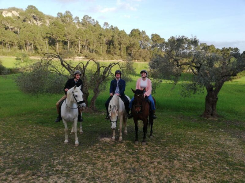 Mallorca: Mallorca`s Sunset & Spanish Riding School Show - Key Points