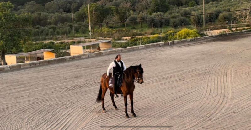 Mallorca: Mallorca`s Sunset & Spanish Riding School Show - Exclusions