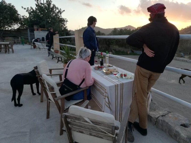 Mallorca: Mallorca`s Sunset & Spanish Riding School Show - Not Suitable For