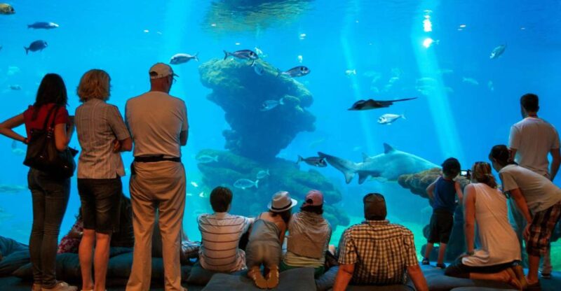 Mallorca: Palma Aquarium Tickets With Transfer - Key Points